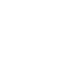 Logo Felina Barcelona